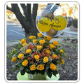 Luxe Bloom Arrangement | Arreglo Floral de Lujo con Globo Personalizado